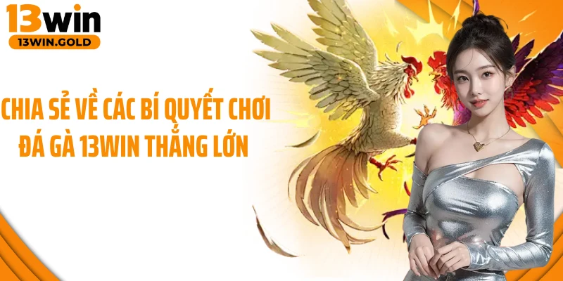 Chia sẻ về các bí quyết chơi đá gà 13Win thắng lớn 