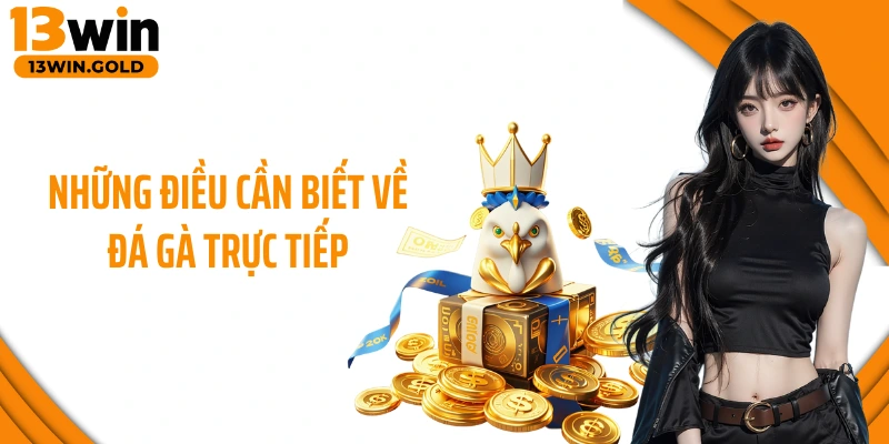 Những điều cần biết về đá gà trực tiếp