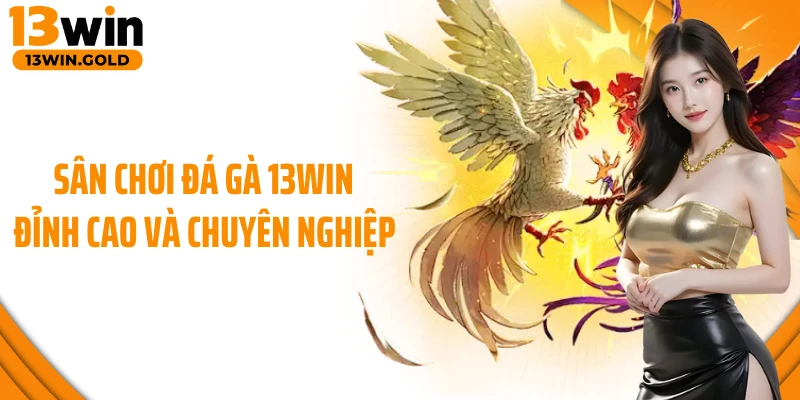 Sân chơi đá gà 13Win đỉnh cao và chuyên nghiệp 