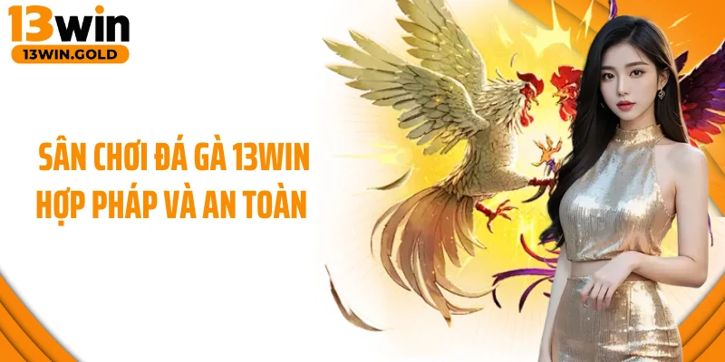 Sân chơi đá gà 13Win hợp pháp và an toàn 