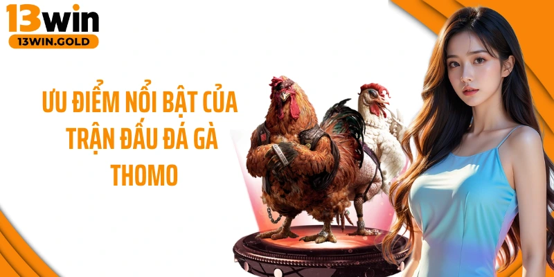 Ưu điểm nổi bật của trận đấu đá gà Thomo